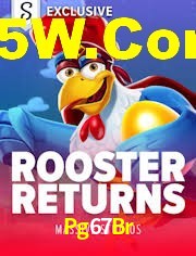 Quick Registration Pg67Br